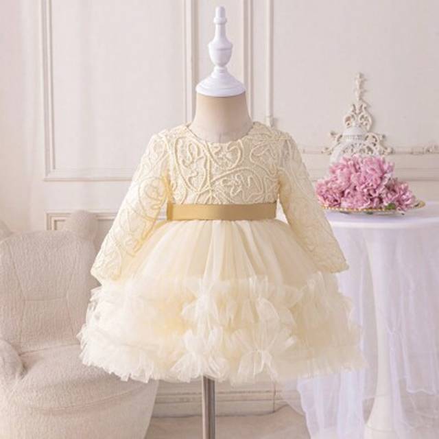 SHEIN Baby Girl Long Sleeve Mesh Embroidered Puff Dress, Champagne Color Baby Birthday Party Princess Gown, Baby Girl Christening Dress