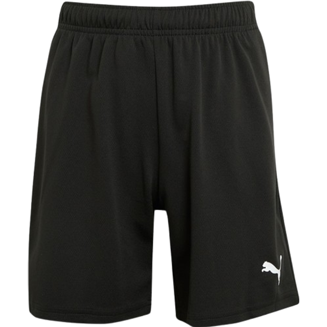 Puma teamRISE Shorts