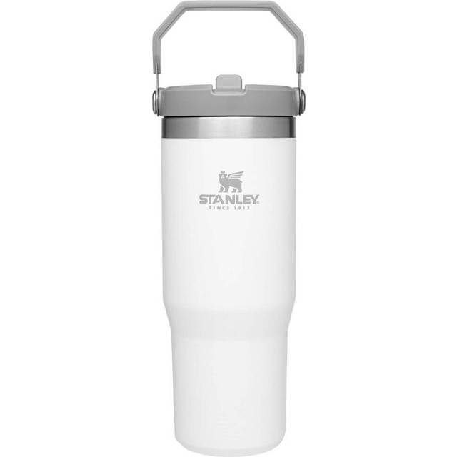 Stanley IceFlow Stainless Steel Tumbler with Straw  Vacuum Insulated Water Bottle for Home  Office or Car  Reusable Cup with S
