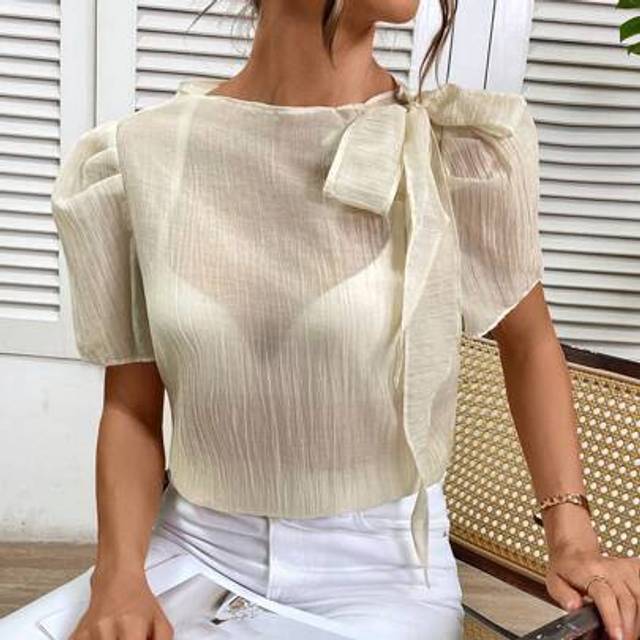 SHEIN Women Casual Bowknot Neck Textured Blouse Business Casual Woman Summer Tops Shirt Blouses For Women Summer Clothes Women Sheer Shirt Business Casual S