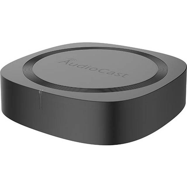 M20 Wireless Multi-room Stereo Music Box 2.4GHZ Wifi BT 5.0 Audio Speaker with Remote Control EU Plug svart