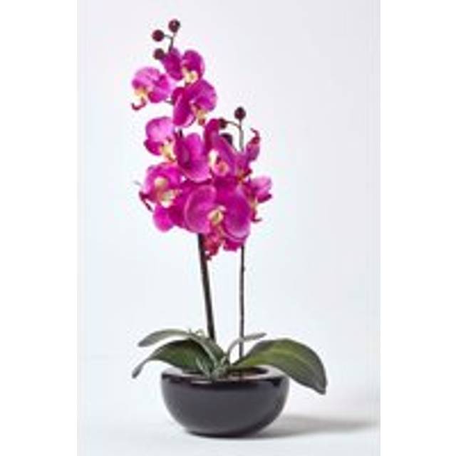 Homescapes Oriental Style Cerise Orchids in Black Bowl