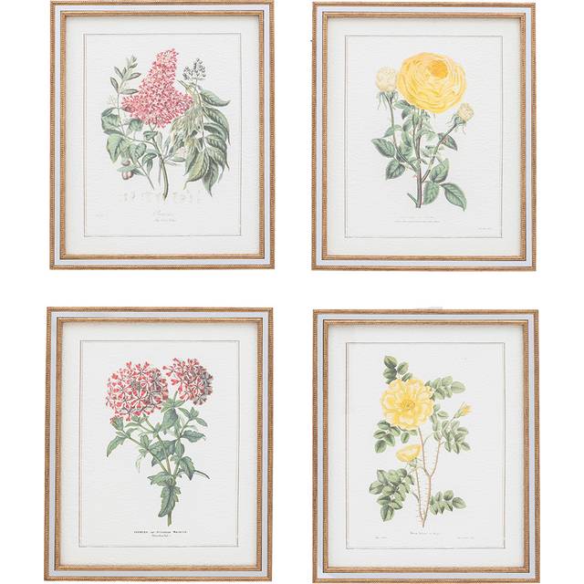 Floral Quartet Framed Art Set of 4 360x300mm - Multi (*)