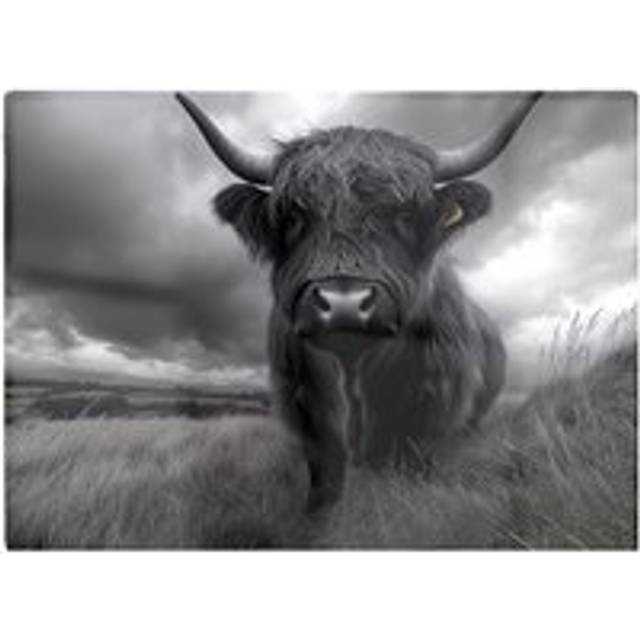 Black And White Highland Cow Glass Chopping Board - Grey - One Size