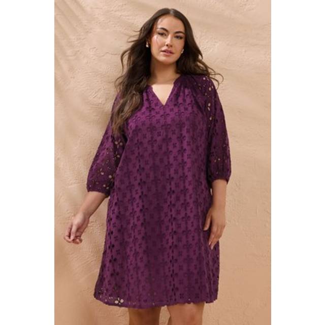 Evans curve women's plus size long sleeve broderie dress