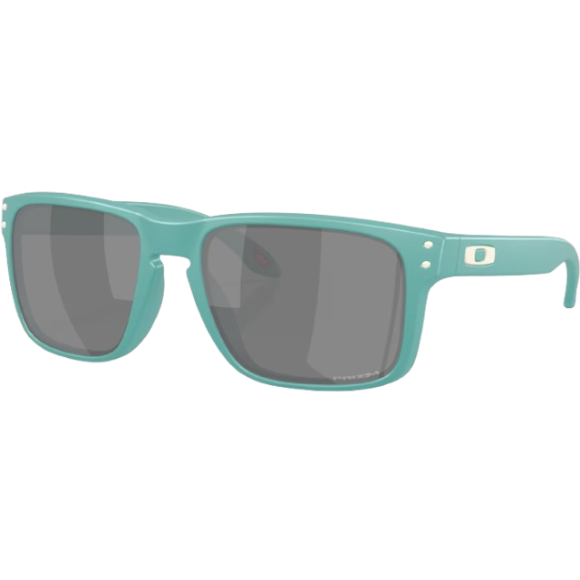 Oakley Holbrook - Prizm Black OO9102-AF55