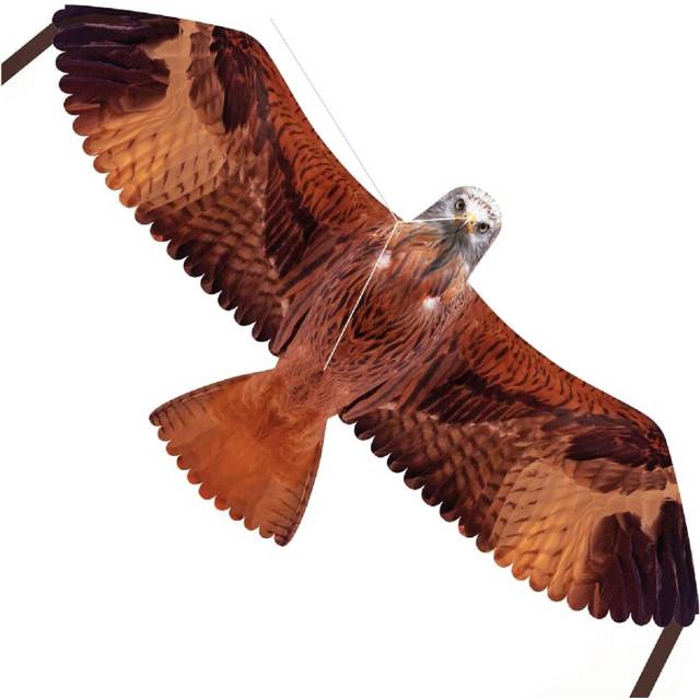 Brookite Red Kite Bird Of Prey Themed Outdoor Kite
