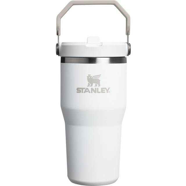 Stanley IceFlow 2.0 Flip Straw Tumbler with Handle 20 oz | Twist On Lid and Flip Up Straw | Leak Resistant Water Bottle | Insulated Stainless Steel |