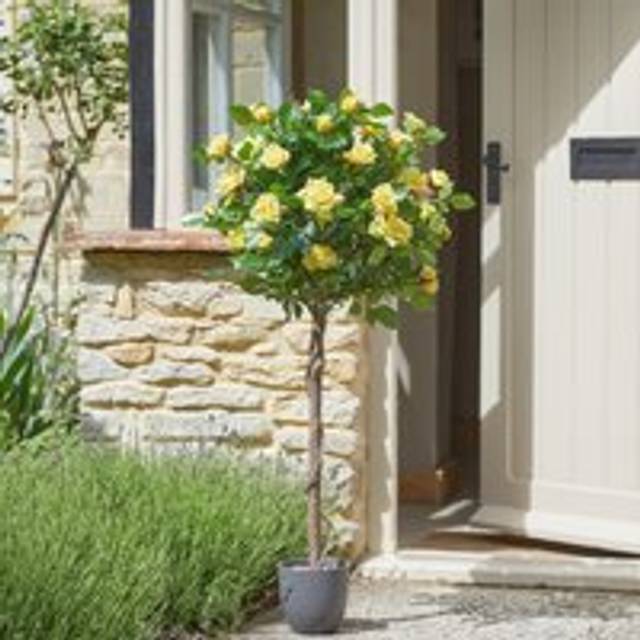 Artificial Regents Rose Tree in Pot - Home or Garden Faux Potted Plant - Yellow - One Size