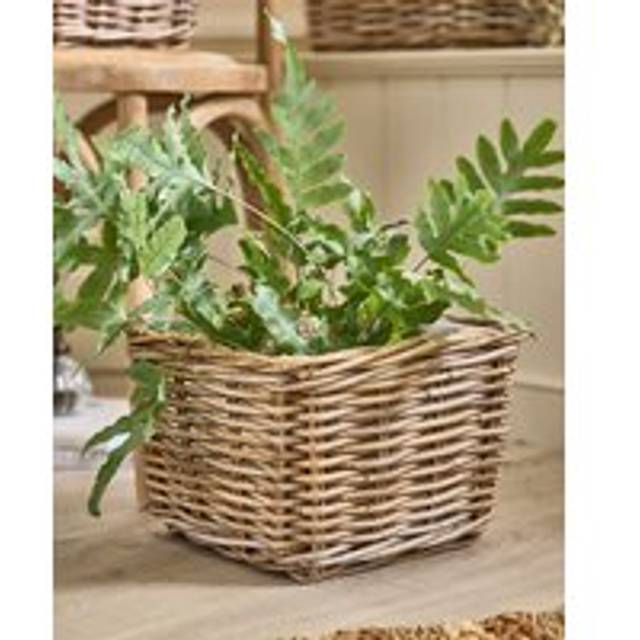 Traditional Medium Wicker Square Lined Planter Basket - Grey
