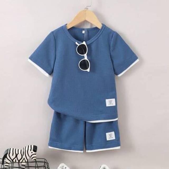 SHEIN Young Boy Summer Short Sleeve Waffle Fabric Color Block Casual Sports Outfit