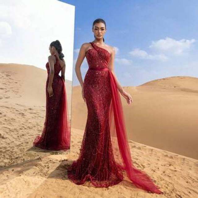 SHEIN Haute Glamour Luxury One Shoulder Sheer Overlay Beaded Formal Evening Dress & Embellished Dress & Beaded Gowns & Evening Gowns