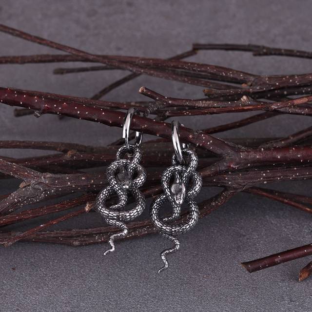 TEMU Twisted Snake Earrings, Street Tail, Suitable For Men And Women, Punk Party Earrings, , Daily Jewelry, Gifts