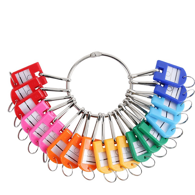 Portable Metal Ring Key Organizer with 30 Spring Hooks & Tags