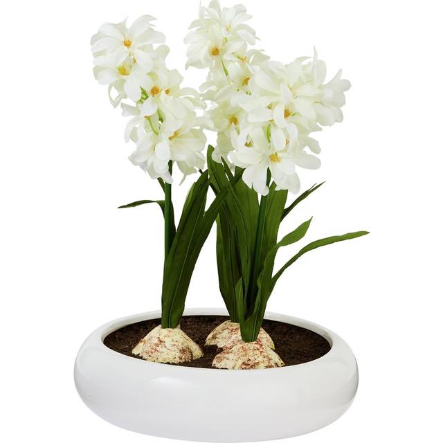 Argos Home Artificial Hyacinths in Ceramic Pot - Cream