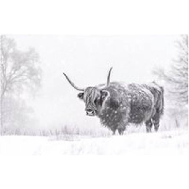 Snowy Black And White Highland Cow Glass Chopping Board - One Size