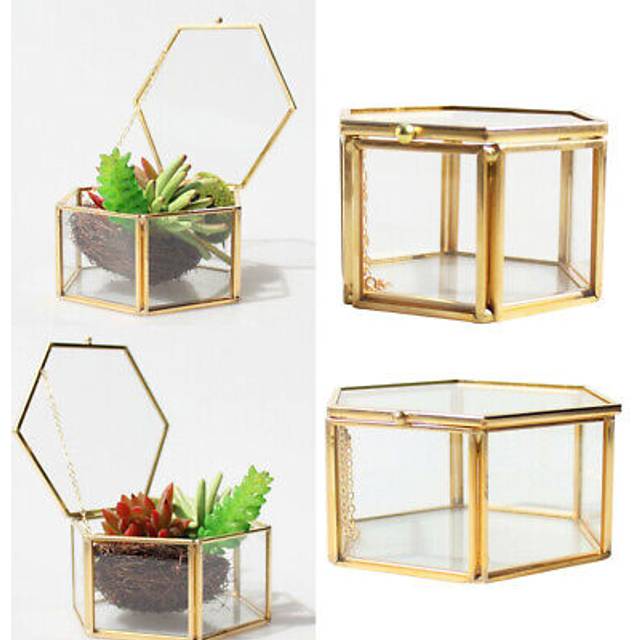 2x hexagon clear glass brass geometric terrarium succulent plant planter box pot