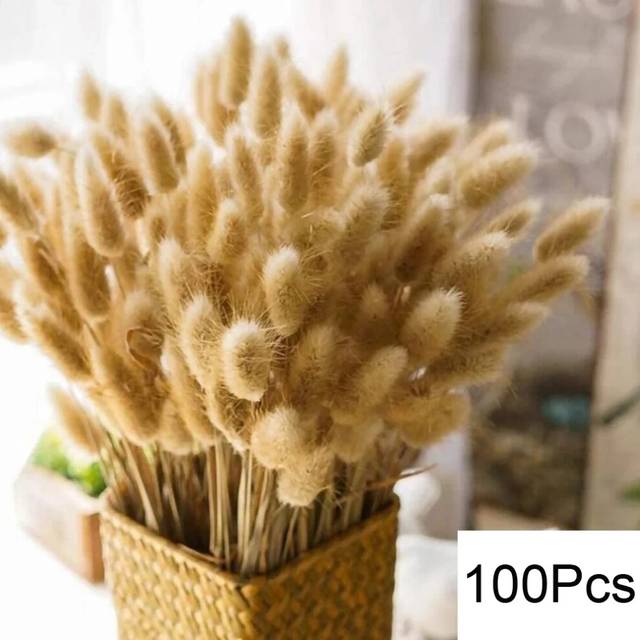 (O) 100Pcs Fluffy Pampas Dried Flowers Bouquet Home Decor Natural Bunny Rabbit Tail Grass Artifical Flower