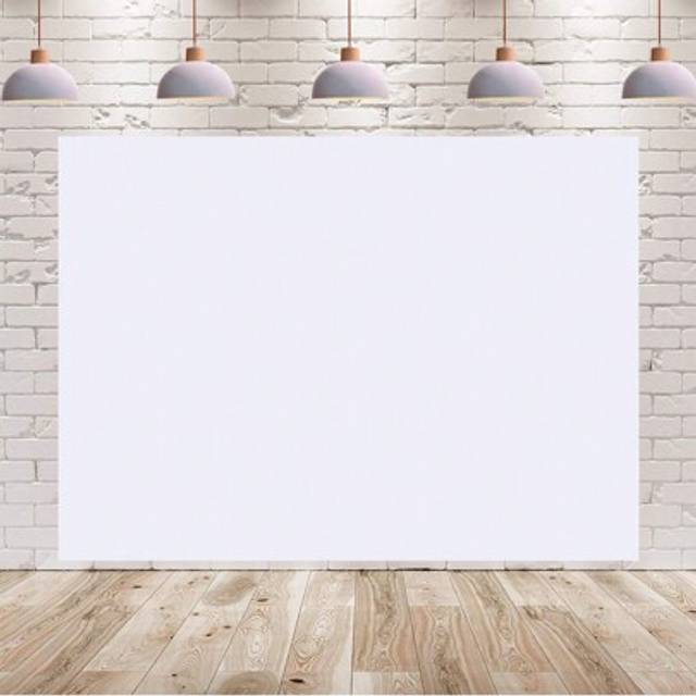 SHEIN White Background Photo Booth Background For Photo Shooting Background Screen Video Recording Party Curtains