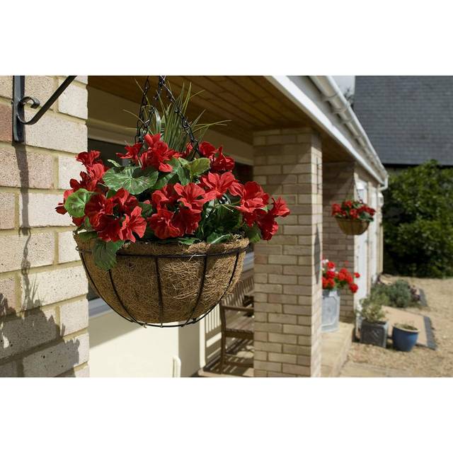 50.8cm Plant - Red