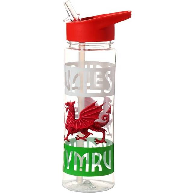 Reusable Welsh Dragon Wales Cymru 550ml Water Bottle With Flip Straw
