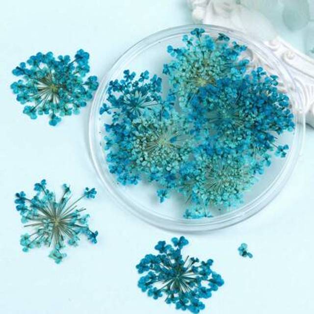 SHEIN 10 Flowers/ Box Dried Flowers Fillers - Colorful Epoxy Resin Mold Supplies For DIY Jewelry Making, Craft Decor Projects, Crafting Supplies | Summer Th