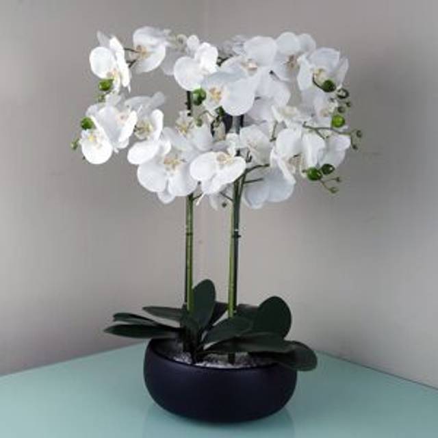 Leaf Orchid Floral Arrangement in Planter White/Black 60cm H X 40cm W X 40cm D