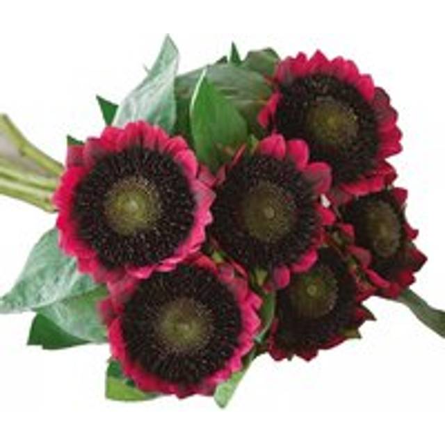 Artificial Red Sunflower Bouquet - Faux Fake Silk Flower Indoor Home Decoration Floral Arrangement - H55cm x W40cm - One Size