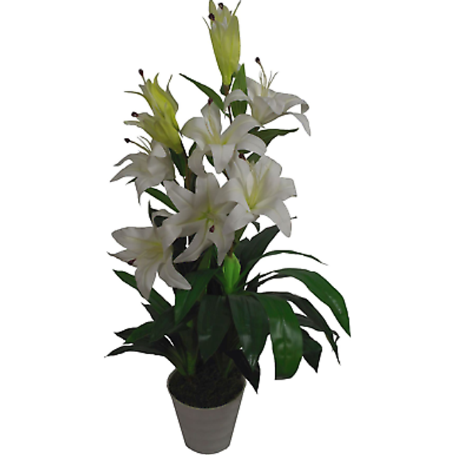 90cm (3ft) Artificial Lily Stargazer Style Lillies Plant Large Flowers White
