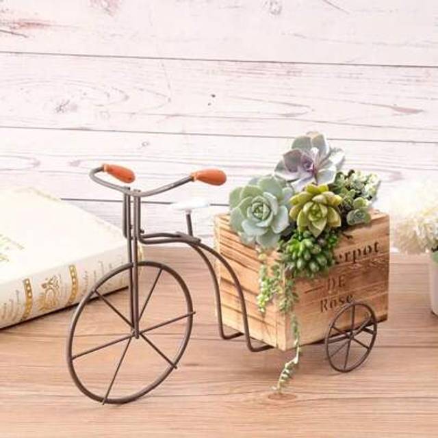 SHEIN 1pc Vintage Wooden Tricycle Plant Stand / Rustic Iron Bicycle Flower Pot / Wicker Flower Basket / Coconut Fiber Hanging Basket / Iron Chain Hanging Ba