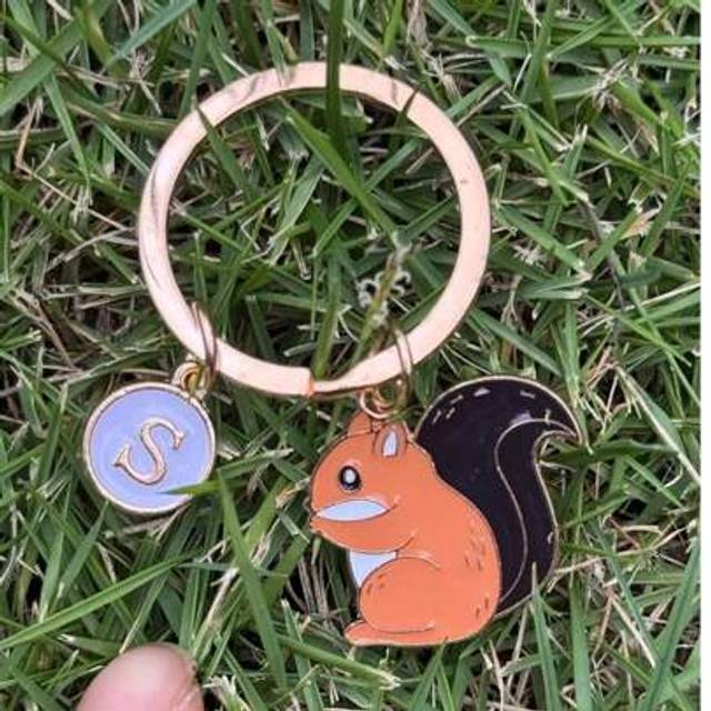 SHEIN Personalized Squirrel Keychain Gift For Boys Charming Animal Key Ring, Wallet Bag, Backpack, Car Key, Accessories, Men&#39;s Gift