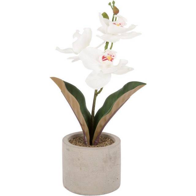 Artificial white orchid in grey pot ideal gift 30cm artificial orchid decorative