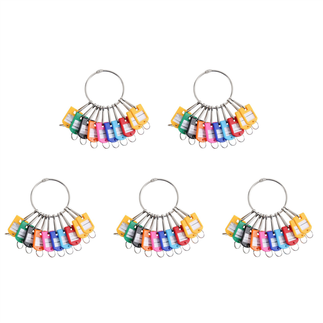 Portable Metal Ring Key Organizer with 50 Spring Hooks & Key Tags with Ring and Label Window