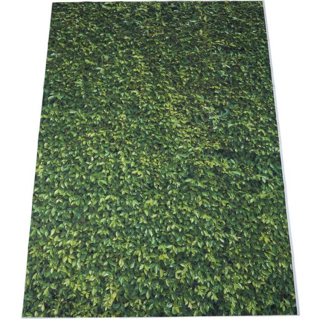 5x7ft(150x210cm) Nature Green Grass Backdrops Photography Wedding or Children Birthday Background