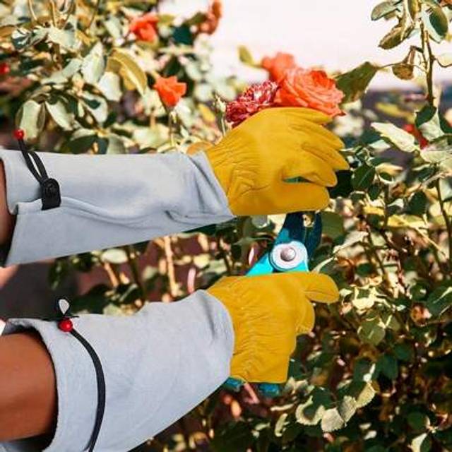 SHEIN 1 Pair Of Rose Gloves For Men & Women, Long Leather Gardening Gloves Thorn Proof, Best Garden Gifts & Tools For Gardener, Adjustable Cuff-Long Sleeve
