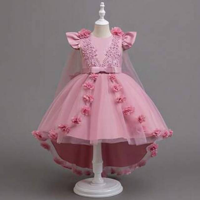 SHEIN Young Girl&#39;s Elegant Floral Beaded Decoration Short Front Long Back Princess Birthday Party Dress, 1st Birthday / Wedding Gown