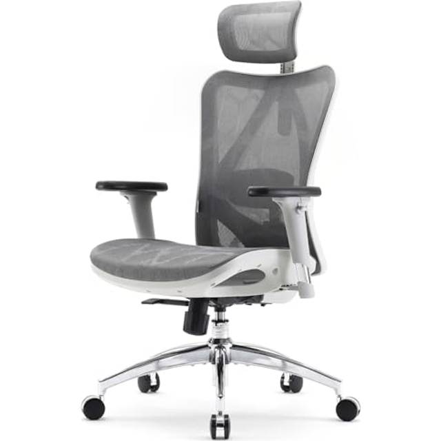 SIHOO Ergonomic Office Chair Mesh Desk Chair with Adjustable Lumbar Support 3D Armrests Breathable High Back Computer Chair (Light Gray)
