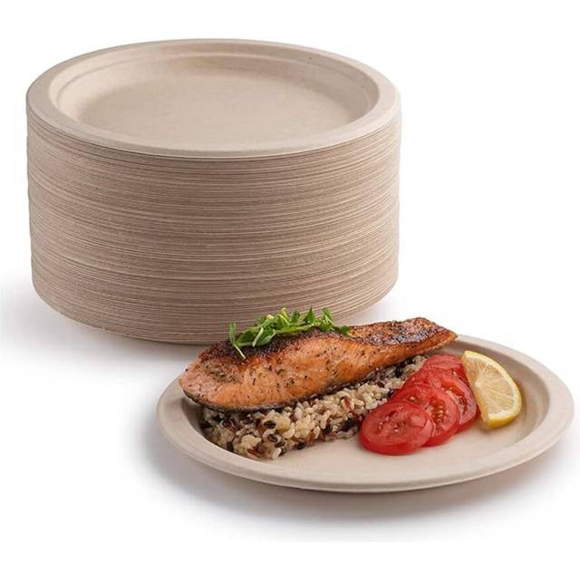 100 super hard paper plates, biodegradable, compostable, eco-friendly, very strong and recyclable, perfect for picnics and barbecues (22.9 cm)