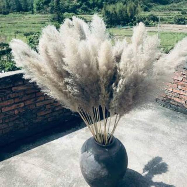 SHEIN 10pcs 32.9 Inch (Approx. 85cm) Pampas Grass Decor - Large Pampas Plumes, Suitable For Floor Vases, Living Room Floors, Floor Plants, Plumas, And Grass