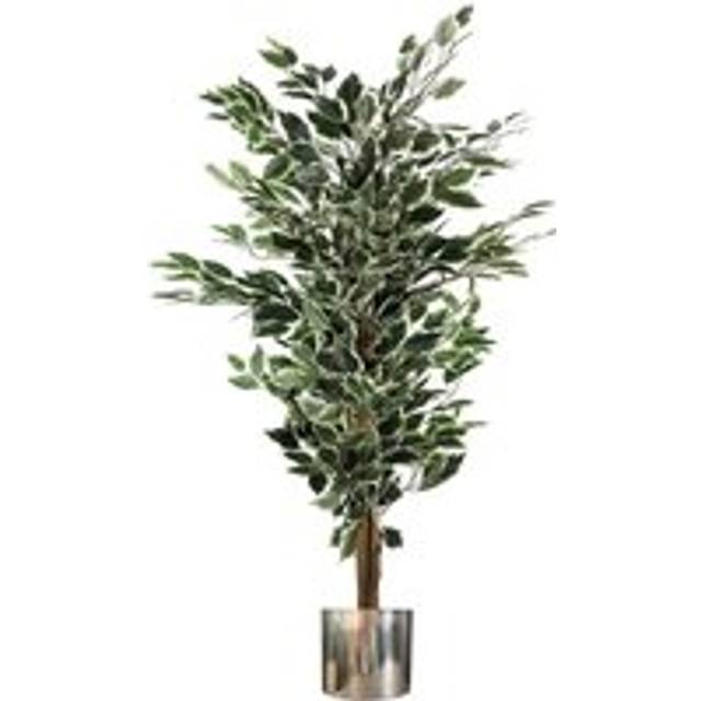 130cm Variegated White/Green Bushy Ficus Tree Silver Metal Planter