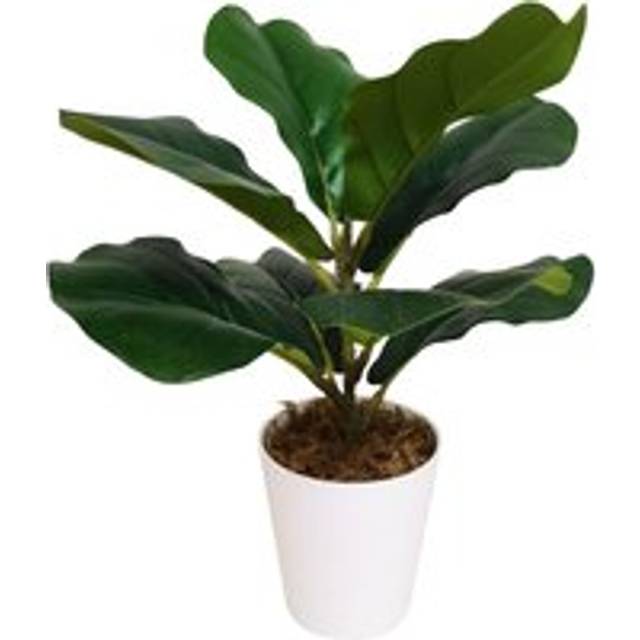 Leaf - 38cm Potted Artificial Fiddle Fig Plant