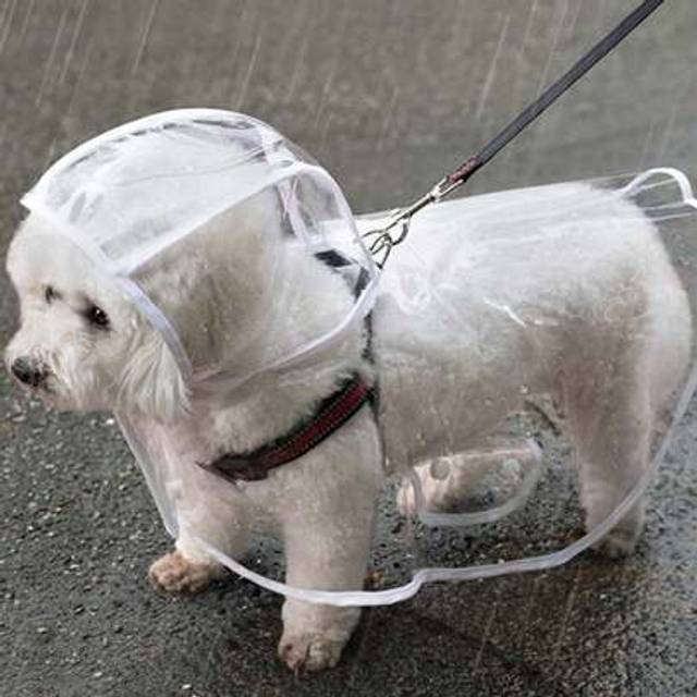 SHEIN Transparent Waterproof Dog Raincoat, Pet Raincoat For Small And Medium-Sized Dogs, Teddy And Bichon Frise Dog Clothes For Rainy Days Walking