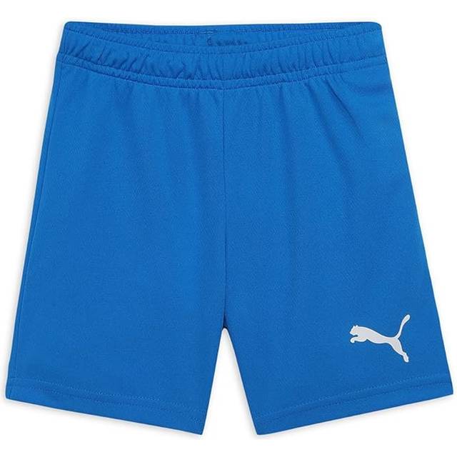 Puma teamRISE Shorts