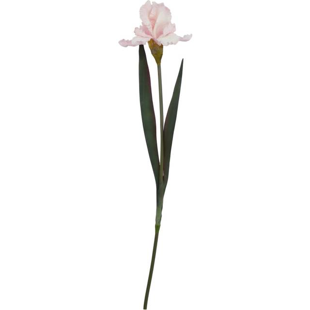 The Natural Garden Collection Fringed Iris - Artificial Flower (Single Stem) - Plastic - L13 x W13 x H83 cm - Pale Pink