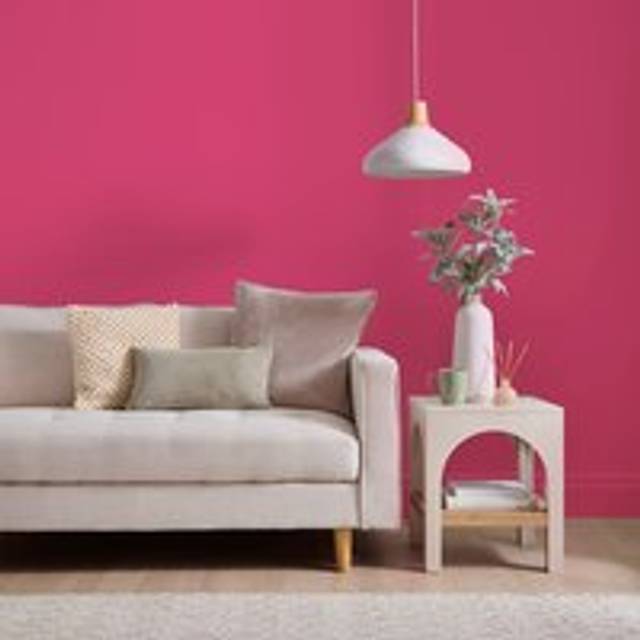 Dunelm Matt Emulsion Paint