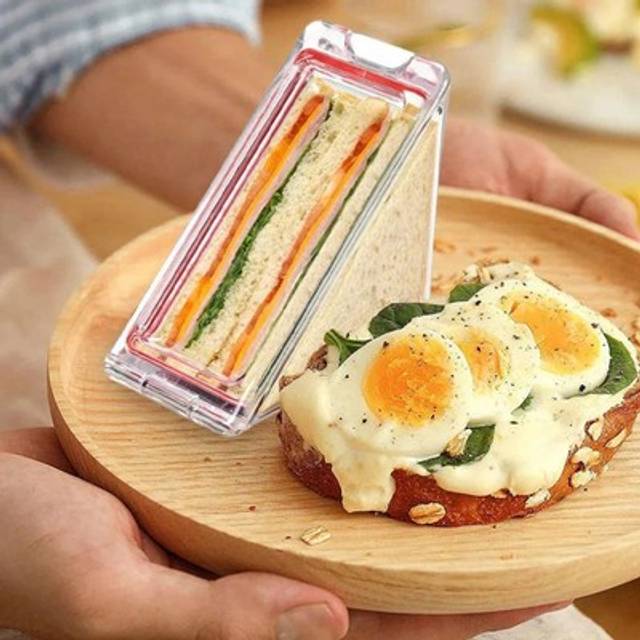 Unique design triangle sandwich container perfect for your outdoor dining needs