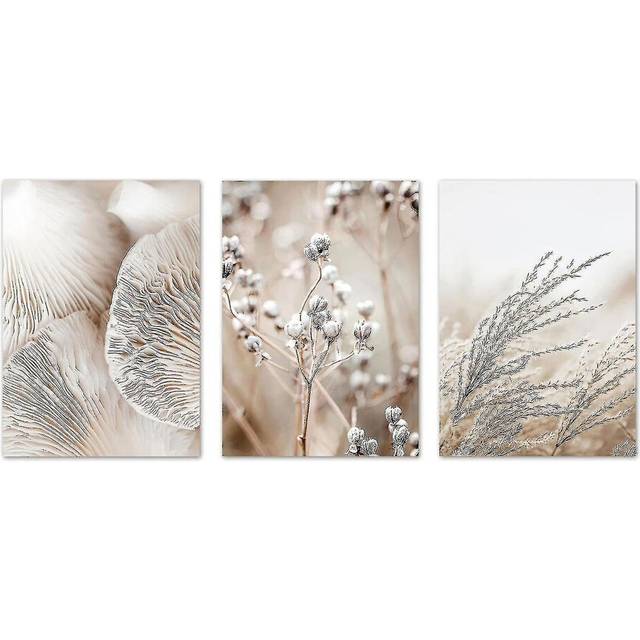 (As show, One size) 1 Set Of 3 Poster Set Wall Pictures Boho Nature Pampas Grass Art-M