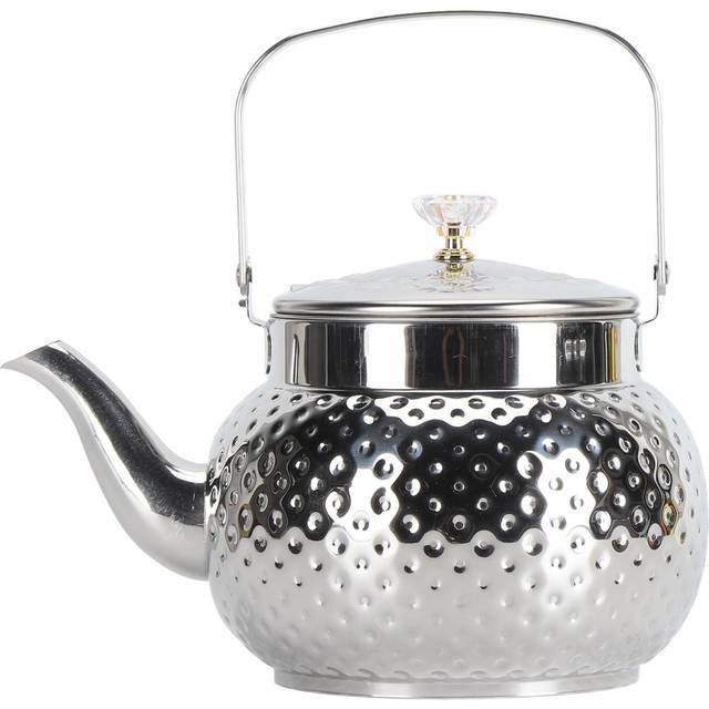 Stainless Steel Teapot with Removable Filter Metal Tea Kettle Coffee Table Serving Pot for Home 1L