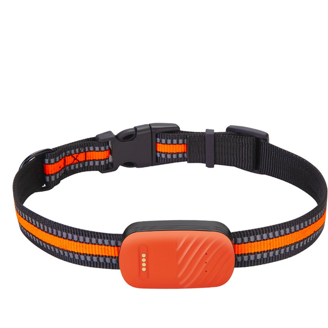 G51 2/4G GPS Waterproof Anti-Lost Locator RC APP for Dog green