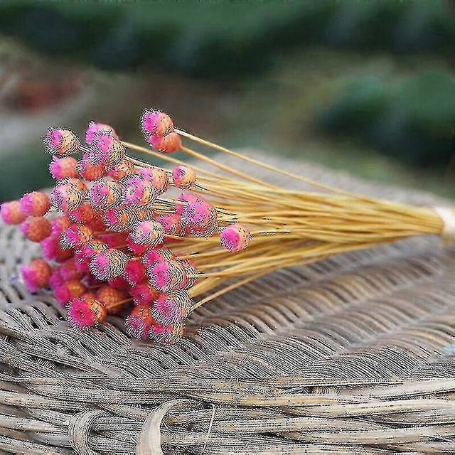 (Rose Red, One size) 50x Colorful Dried Flowers Small Natural Dried Floral Plants Mini Real Bouquets Home